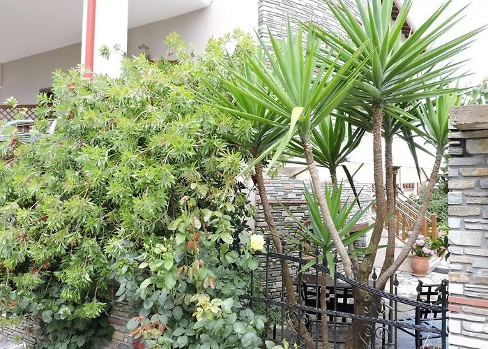 Boutique Giorgos Αμμουλιανή